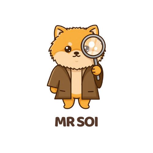 Mr Soi Logo